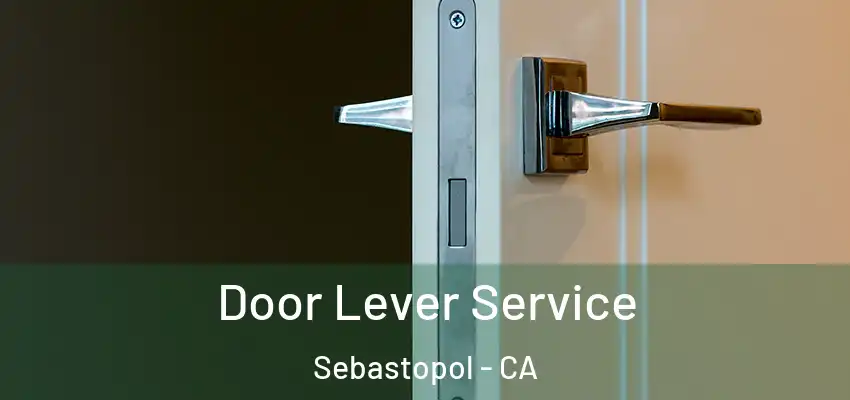 Door Lever Service Sebastopol - CA