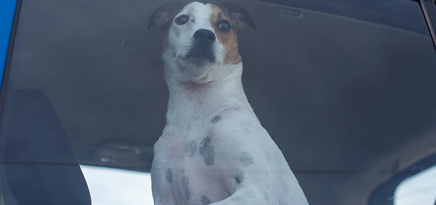 Car Lockout Solutions in Sebastopol, California